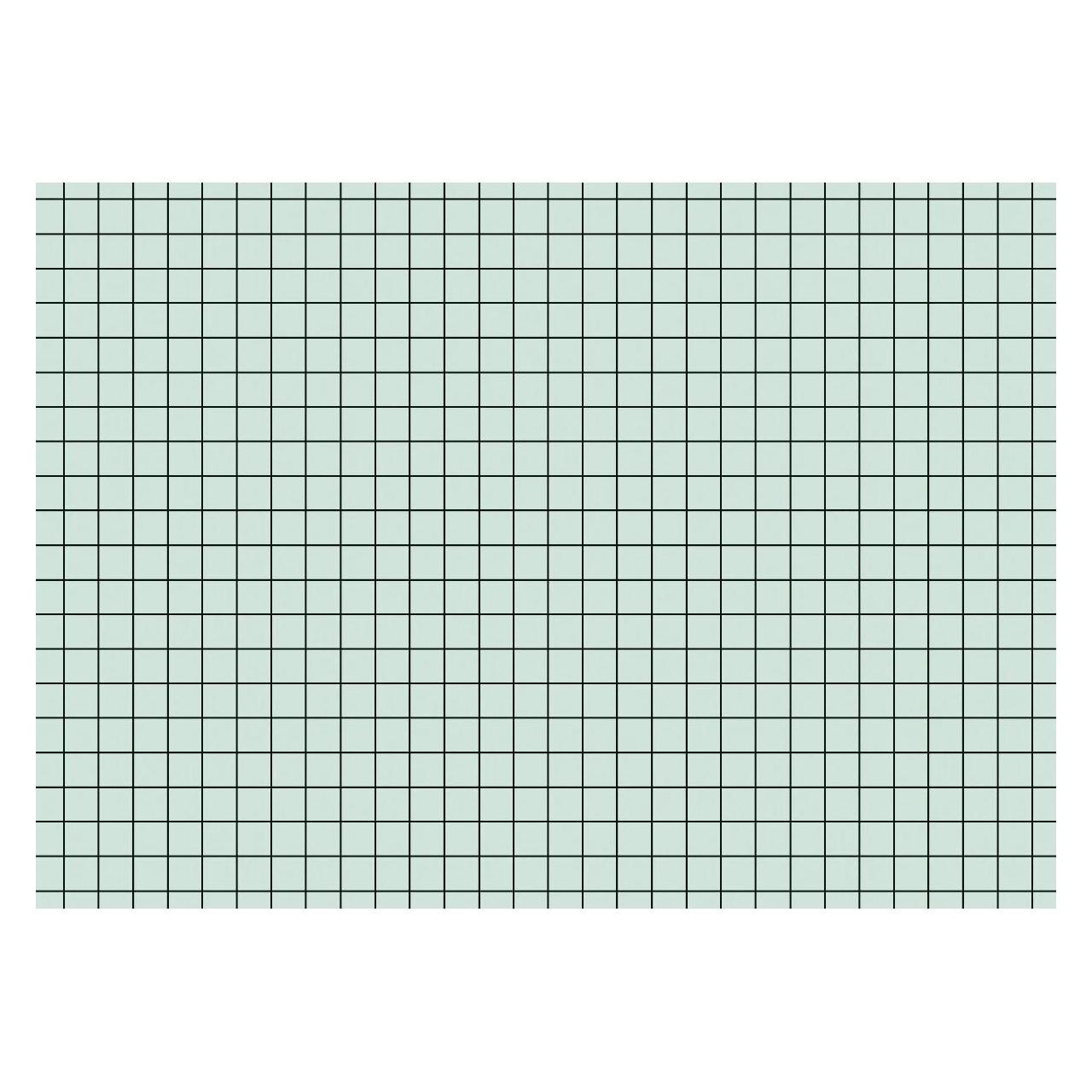 Brunnen Karteikarte DIN A6 quer kariert grün 100 St./Pack. (A6, 180 g/m²) (102260250)