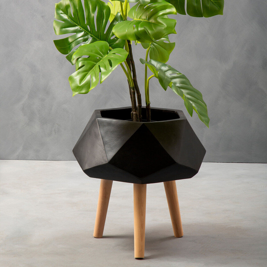 Brayden Studio Shel Cachepot Black 22cm H X 46cm W X 46cm D