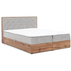 BOXBETT Maximo In Torre