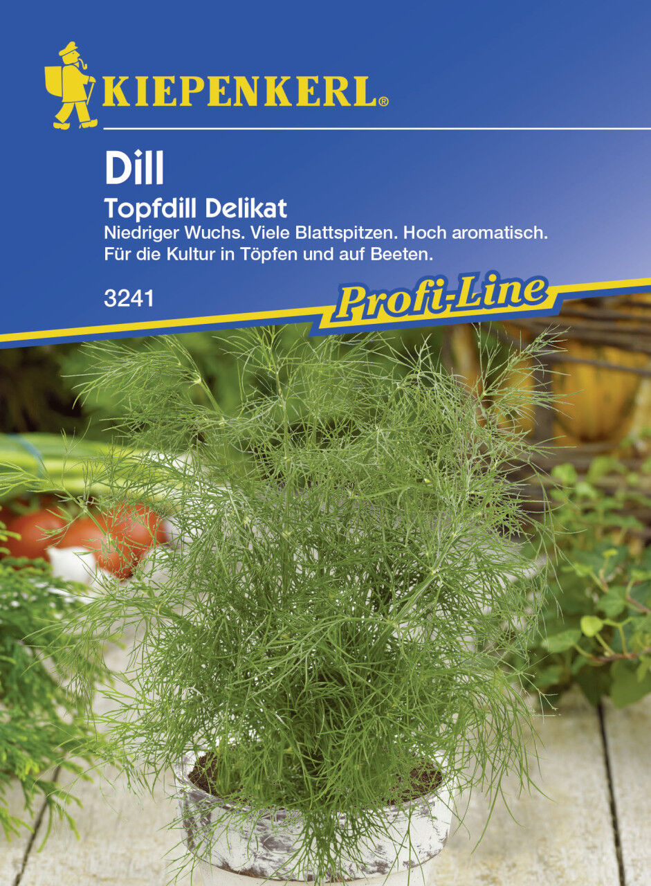 Kiepenkerl Dill Delikat Anethum graveolens var. hortorum, Inhalt: ca. 40 Töpfe