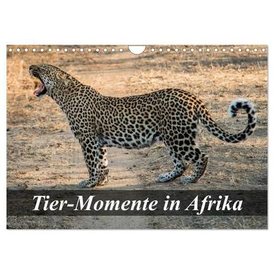 Tier-Momente in Afrika (Wandkalender 2026 DIN A4 quer), CALVENDO Monatskalender