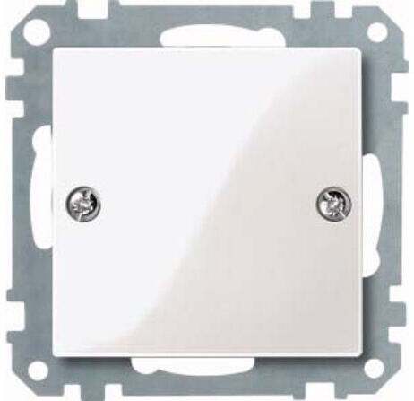 Merten Cache-bouton pws/gl EDV 461819 (461819)