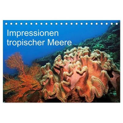 Impressionen tropischer Meere (Tischkalender 2026 DIN A5 quer), CALVENDO Monatskalender