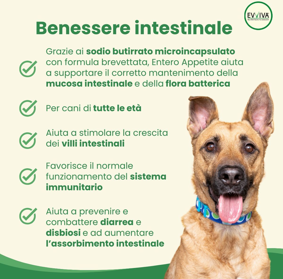 Evviva Pet Nutrition to Enjoy Entero Appetite 100G