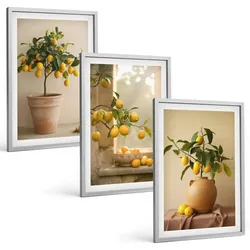BILDER SET 3er Set - 40x60 cm Silberner Rahmen - Zitronenbäume im Topf