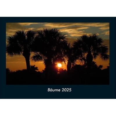 Bäume 2025 Fotokalender DIN A4