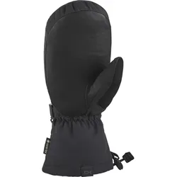 Dakine Leather Titan Gore-Tex Skifäustlinge Herren 001 - black S