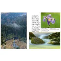 Naturerlebnis Wilder Schwarzwald, Ratgeber von Norbert Daubner, Gaby Hufler