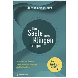 Die Seele zum Klingen bringen - Zur Predigtreihe VI, Sachbücher von Stephan Goldschmidt