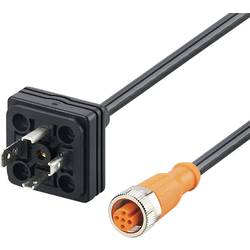 ifm E30436 Verbindungskabel E30436 E30436 ifm Electronic Inhalt: 1 St.