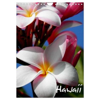 Hawaii (Wandkalender 2027 DIN A4 hoch), CALVENDO Monatskalender