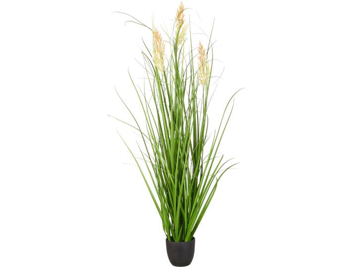Kunstgras CREATIV GREEN Grasbusch Federgras , grün, H:100cm, Obermaterial: 100% Kunststoff, Kunstpflanzen, Kunstgras, mit dekorativen Blüten