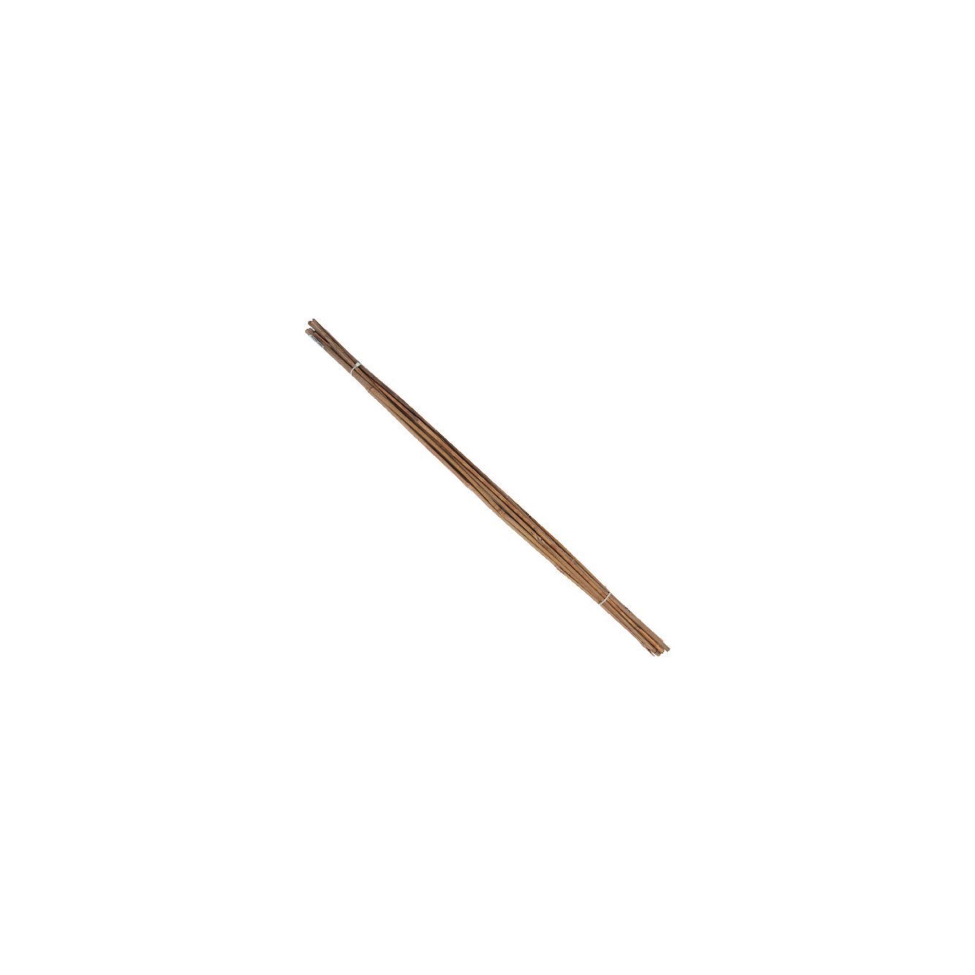 floraworld Tonkin-Pflanzstab, Durchmesser 6-8mm 75cm 10er Bund (010998)