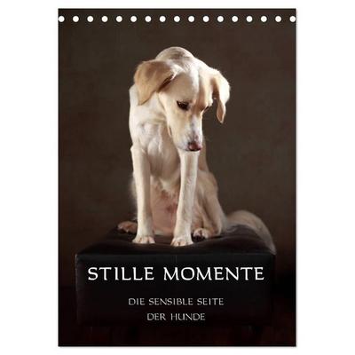 Stille Momente - Die sensible Seite der Hunde (Tischkalender 2027 DIN A5 hoch), CALVENDO Monatskalender