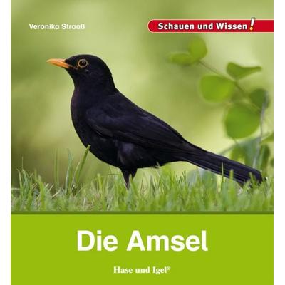 Die Amsel, Gebundene Ausgabe von Veronika Straass, Hase und Igel Verlag, 978-3-86760-764-3