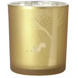 räder Eichhörnchen