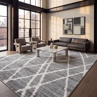 SAFAVIEH Adirondack Johanna Trellis Rug