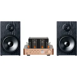 Bennett & Ross TA-70 Röhren-Design Stereoanlage Champagner
