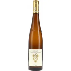 Kastanienbusch Riesling GG Ökonomierat Rebholz MAGNUM 2023 BIO