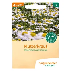 Mutterkraut 1Stück