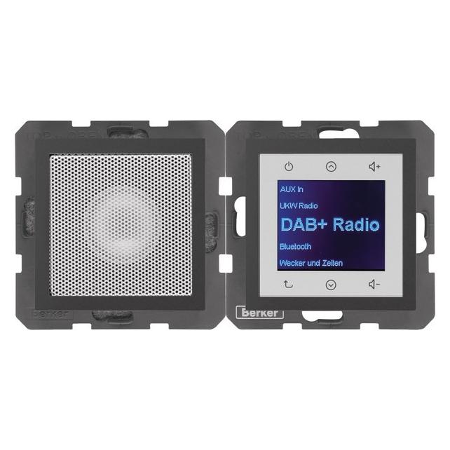 Berker BERK Radio Touch (DAB+, FM, Bluetooth) (30801606)