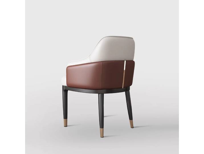Chaises de Salle à Manger artificiel astiques Nordiques, Confortables et Personnalisées, Design Ergonomique de Luxe, Mobilier de Maison, Esthétique Européenne