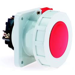 Bals Elektrotechnik 13100 13100 CEE Anbaudose 63.0 A 4polig 400 V 1 St.
