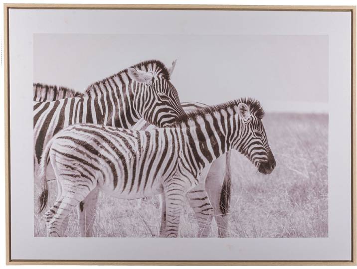 Bild mit Rahmen CREATIV HOME Zebra , schwarz-weiss (farbe rahmen: hellbraun, farbe bild(er): schwarz, weiß), B:80cm H:60cm T:2,5cm, Papier, Bilder, Bild mit Rahmen, mit schwarz-weissem Motiv