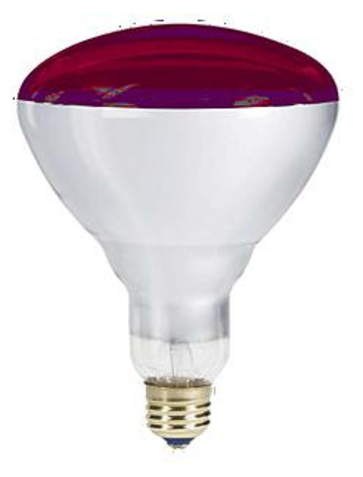 NBB Infraroodlamp 250W E27