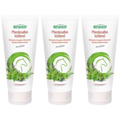 Pferdesalbe kühlend x3 3x200 ml Salbe