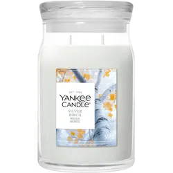 Silver Birch Signature Large Jar 567g 2-Docht