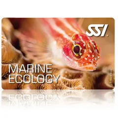 Marine Ecology - SSI Specialty - Online Tauchkurs