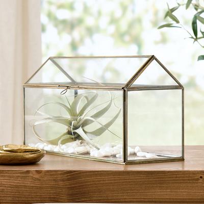 Glass Terrarium Box - Grandin Road