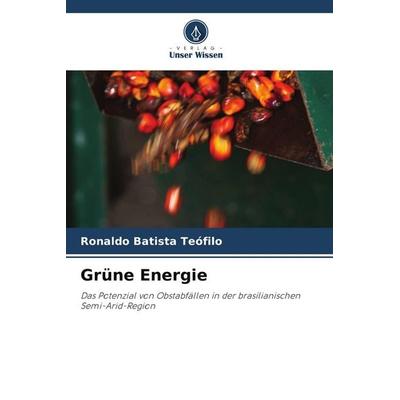 Grüne Energie, Taschenbuch von Ronaldo Batista Teófilo, Verlag Unser Wissen, 978-620-7-95851-1