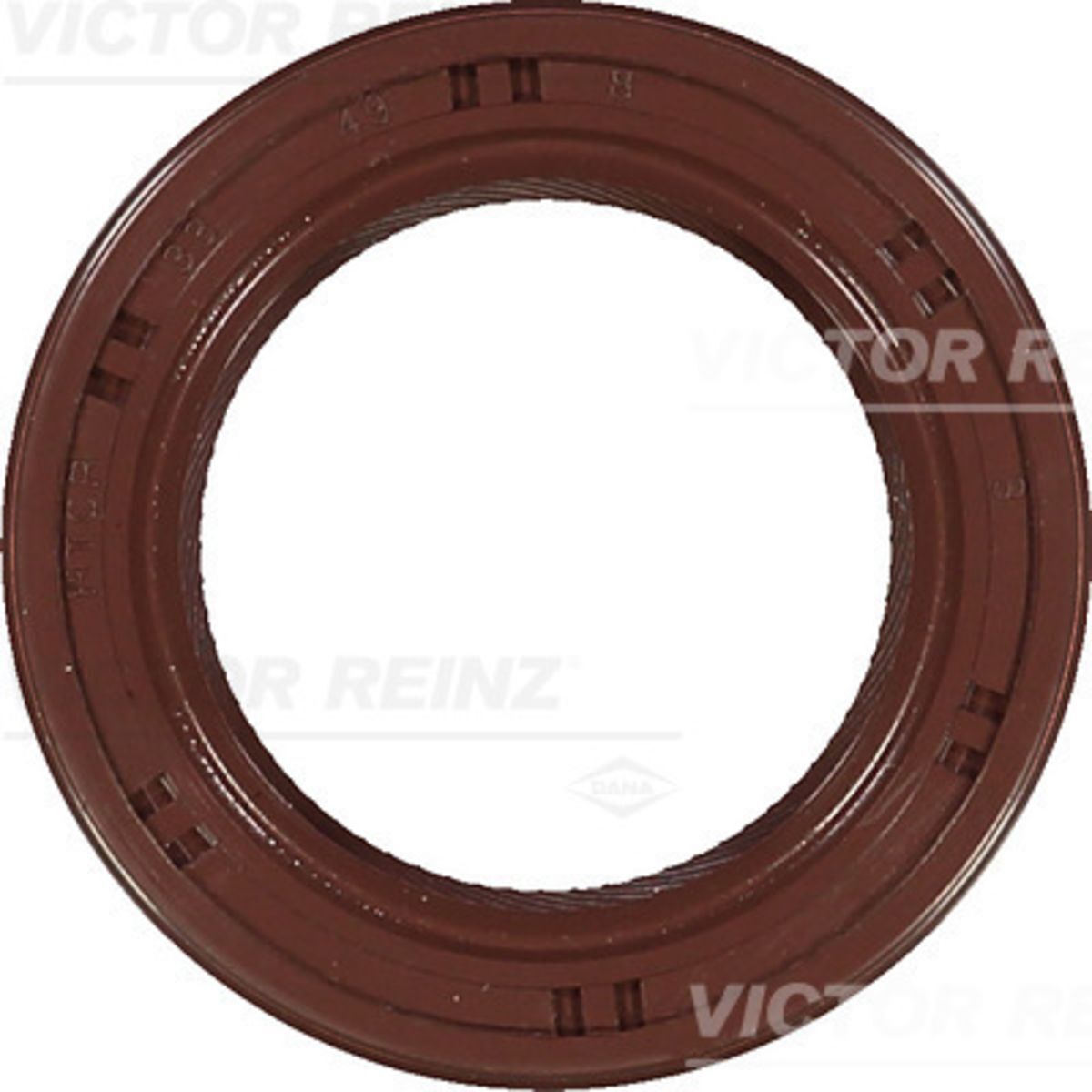 Victor Reinz Paraolio, albero motore REINZ 81-53918-00