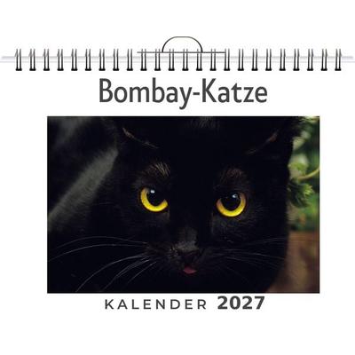 Bombay-Katze
