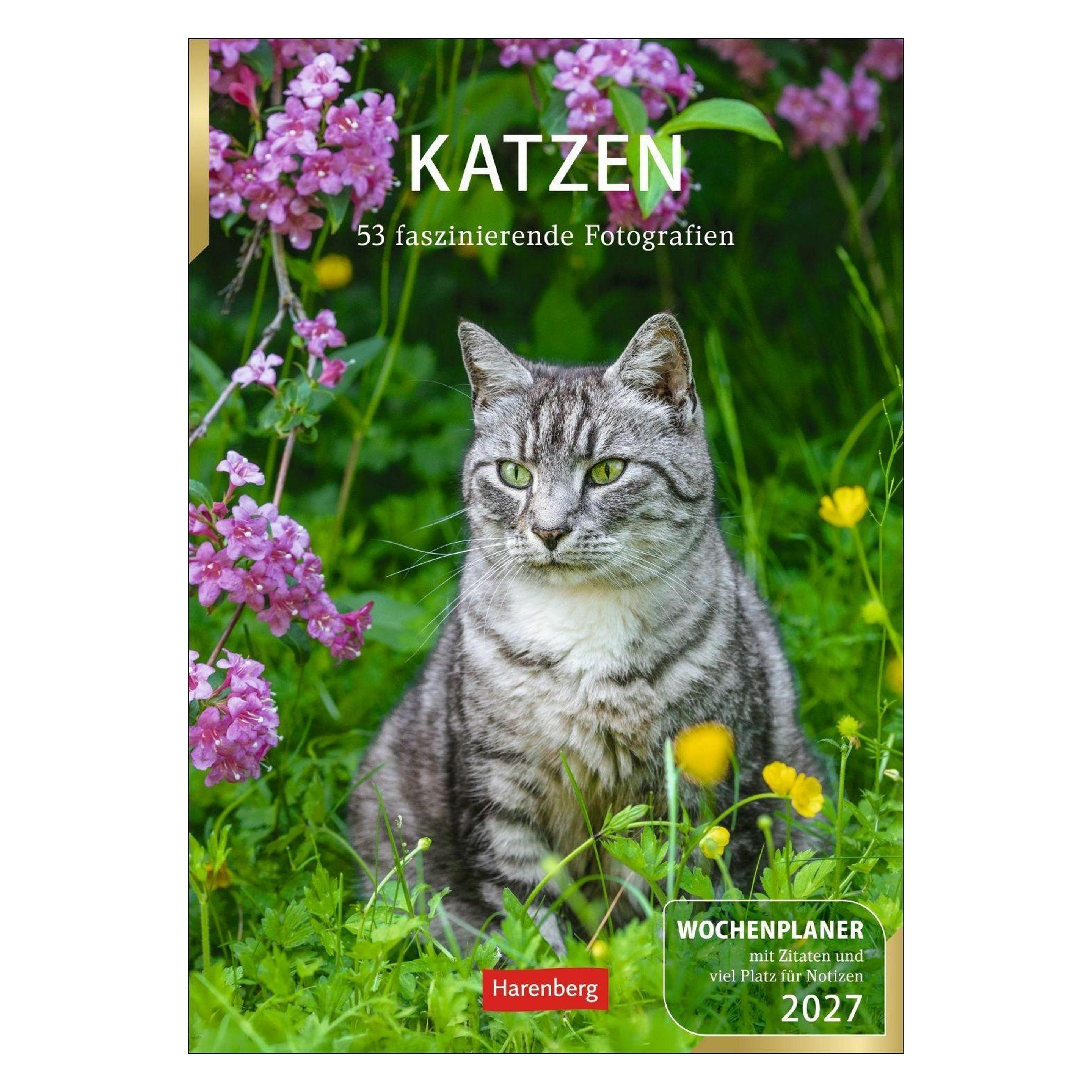 Harenberg Katzen Wochenplaner 2027 - 53 faszinierende Fotografien (66783906)