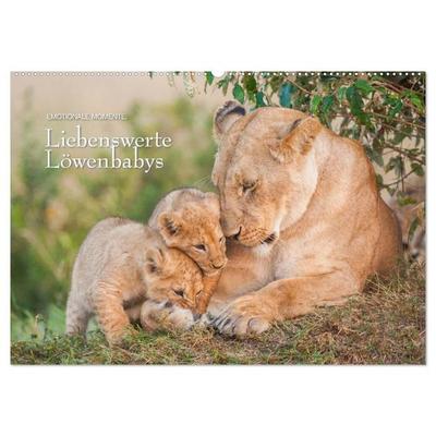 Emotionale Momente: Liebenswerte Löwenbabys (Wandkalender 2027 DIN A2 quer), CALVENDO Monatskalender