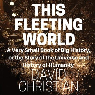 This Fleeting World - David Christian, Audio, 9781945213946