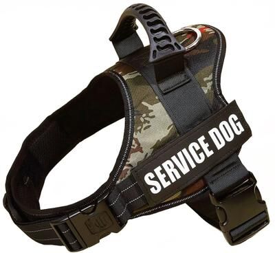 Inspired Living Personalized Adjustable Nylon Dog Vest Harness jungle Green l