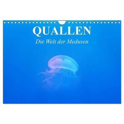 Quallen. Die Welt der Medusen (Wandkalender 2027 DIN A4 quer), CALVENDO Monatskalender