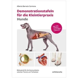 Demonstrationstafeln für die Kleintierpraxis Hunde, Ratgeber von Alberto Barneto Carmona