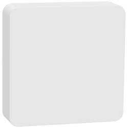 Schneider Electric Wiser CCT593012 Temperatursensor, Luftfeuchtesensor CCT593012