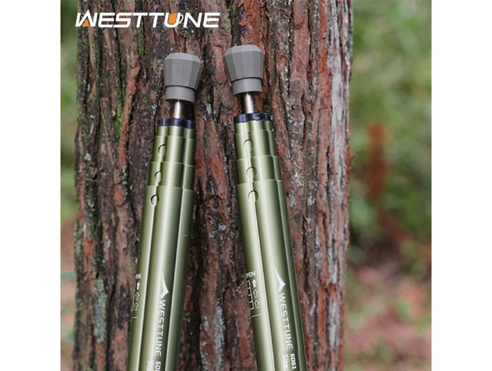 WESTTUNE 2 pièces auvent extérieur pôle en alliage d'aluminium télescopique Support de tente pliable abri de plage auvent pôle pour Camping pêche