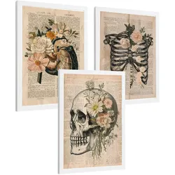 POSTER Set aus 3 Anatomie Mensch Drucke und Wandbilder mit Leber Rippen und Schädel Retro Floraler Stil Wanddekoration Größe Weißer Rahmen A4