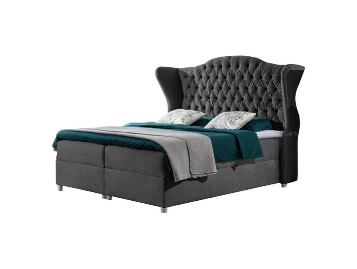 BOXBETT Livia - H3