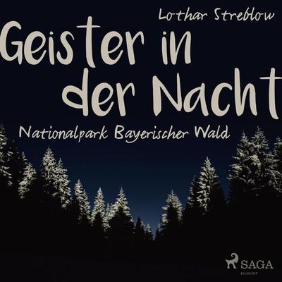 Geister in der Nacht. Nationalpark Bayerischer Wald (Ungekürzt) - Lothar Streblow, Audio, 9788711755648