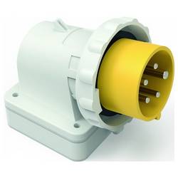 Bals Elektrotechnik 2482 2482 CEE Wandstecker 1 St.