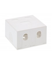 InLine Installationskasten Netzwerkoberfläche weiß 2 Ports (76202B)
