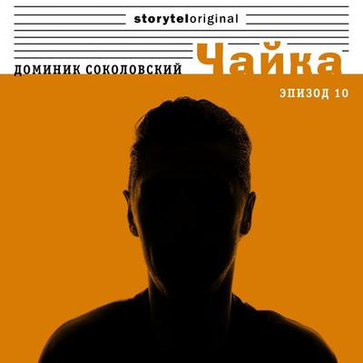 Чайка - Серия 10 - В блеске вспышек - Доминик Соколовский, Audio, 9789178913619